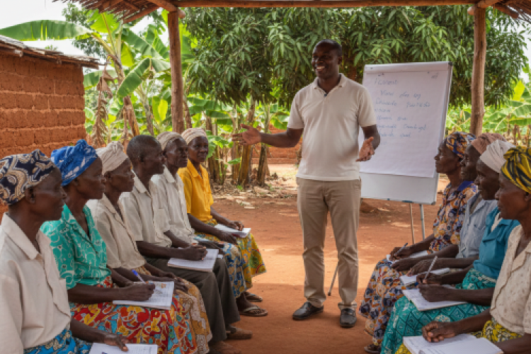 Capacitação de idosos em grupo